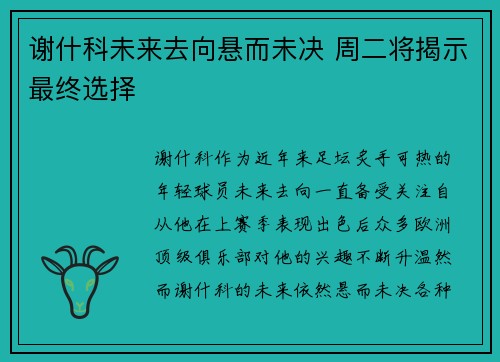 谢什科未来去向悬而未决 周二将揭示最终选择