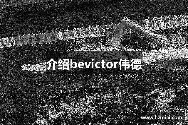 介绍bevictor伟德